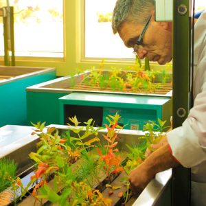 fisiología de las plantas